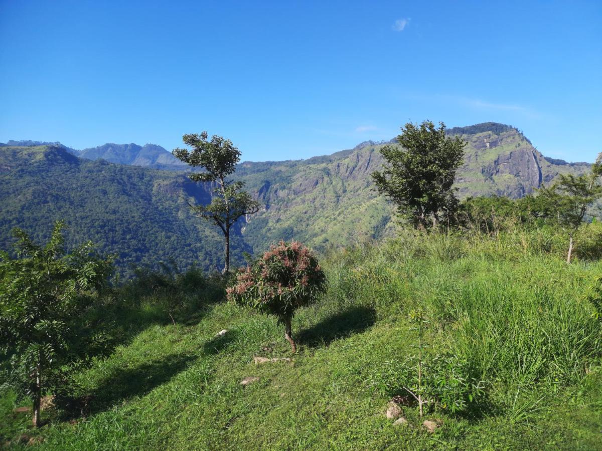 Shambala Retreat Bed & Breakfast Ella Bagian luar foto