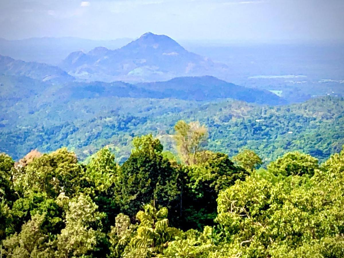 Shambala Retreat Bed & Breakfast Ella Bagian luar foto